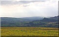 SK0061 : Hen Cloud in the Staffordshire Moorlands by Phil Brandon Hunter