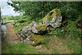 SD1199 : Ravenglass and Eskdale Railway near Murthwaite Halt by David Dixon