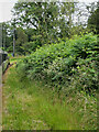 NY1400 : Ravenglass and Eskdale Railway near Hollin How by David Dixon