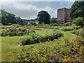 TQ3005 : The Rose Garden at Preston Park by Mat Fascione