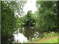 SE7231 : Smaller pond, Wressle Brickyard Farm by Christine Johnstone