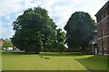 SJ9223 : Lawn and Trees at south-east end of St George's Mansion by Rod Grealish