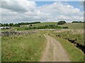 NY3237 : The Cumbria Way near Nether Row by Adrian Taylor