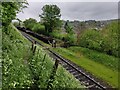 SO7875 : Severn Valley Railway at Bewdley by Mat Fascione