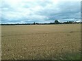 SE4927 : View across farmland to Burton Salmon by Stephen Craven