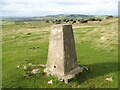 SD3973 : Triangulation Pillar, Humphrey Head by Adrian Taylor