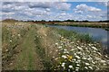 TL4166 : Halcyon Mere, Northstowe by Hugh Venables