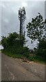 ST6953 : Telecommunications Mast near Haydon by Sandy Gerrard