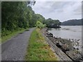 SH6415 : The Mawddach Trail along the Mawddach Estuary by Mat Fascione