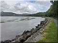 SH6415 : Shoreline along the Mawddach Trail by Mat Fascione