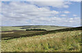 NY7632 : Grassy moorland east of Moor House by Trevor Littlewood