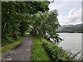 SH6617 : The Mawddach Trail at Penrhyn Cregyn by Mat Fascione