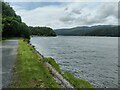 SH6617 : Mawddach Trail along the Mawddach Estuary by Mat Fascione