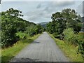 SH6818 : Heading west along the Mawddach Trail by Mat Fascione