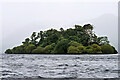 NY2621 : Rampsholme Island, Derwent Water by David Dixon