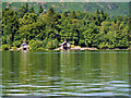 NY4421 : Boat Houses, Ullswater Shore by David Dixon