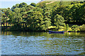 NY4419 : Ullswater Shore at Howtown by David Dixon