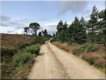  : Road to the reservoirs, Lòn Dornaich by Richard Webb