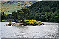 NY3917 : Wall Holm, Ullswater by David Dixon