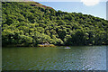 NY4220 : Ullswater Shore, Hallinhag Wood by David Dixon