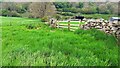 SE0691 : Grass fields west of Preston-under-Scar by Roger Templeman