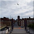 SJ3589 : Liverpool - Anglican Cathedral from Metropolitan Cathedral by Rob Farrow