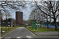 TQ3470 : Buildings, Crystal Palace Park by Robin Stott