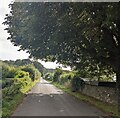 SO5003 : Tree canopy over a road in Broadstone, Monmouthshire by Jaggery