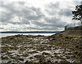 J3985 : The shoreline near Carrickfergus by Rossographer