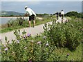 ST4353 : Cheddar Reservoir - Circular Rim Path by Colin Smith