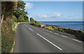 D3510 : The A2 Coast Road near Ballygalley by Rossographer