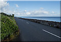 D3411 : The A2 Coast Road near Ballygalley by Rossographer