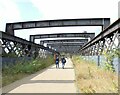 SJ8397 : Castlefield Viaduct Sky Garden by Gerald England