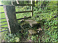 ST5599 : Stone Stile, Tiddenham Chase by Jayne Tovey