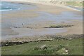 SR8897 : Remains on the beach, Frainslake Sands by M J Roscoe