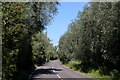 TL5393 : Hereward Way beside the Welney Wetland Centre by Chris Heaton