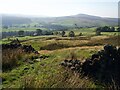 SK0066 : View over Bennetstitch Farm by Graham Hogg