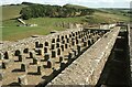 NY7968 : Housesteads Roman Fort by Philip Halling