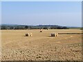 SK4145 : Straw bales in a field by Ian Calderwood