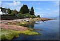 NS0242 : Arran - Corrie - Pink rocks along the seashore by Rob Farrow