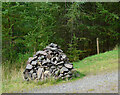 NT4036 : Cairn, Thornielee Forest by Jim Barton