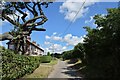 TM3189 : Isolated houses on Bath Hills Road by Bill Harrison