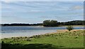 SK9008 : Lodge Inlet at Rutland Water by Mat Fascione