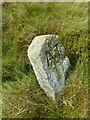 SD9938 : Boundary stone on Oakworth Moor by Kevin Waterhouse