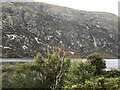 NC3038 : Crags and waterfall, Ben Screavie by Richard Webb