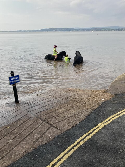 Exercising horses in the Exe estuary, The Rag, Lympstone