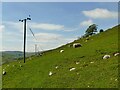 SD9079 : Power lines at Yockenthwaite by Stephen Craven