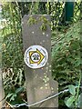 SH6166 : Llwybr Llechi Eryri / Snowdonia Slate Trail waymark disc, Bethesda by Meirion