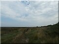 TF9944 : Hikers on the Norfolk Coast Path by Basher Eyre