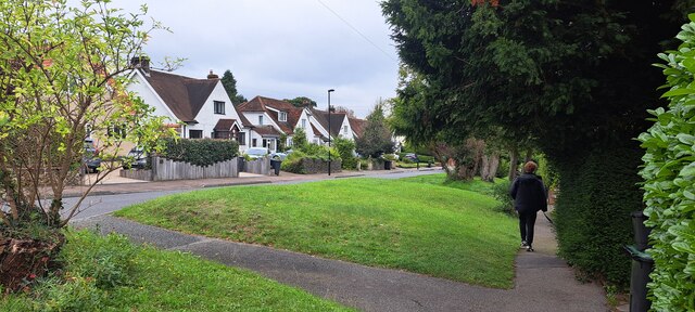 Riddlesdown Road